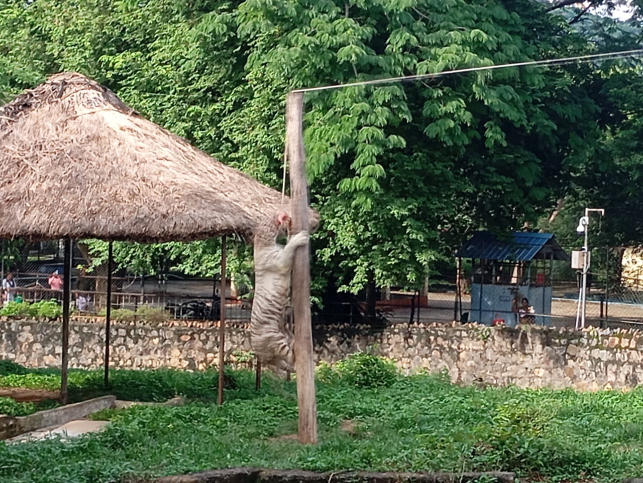 department